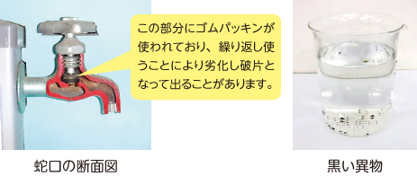 蛇口の断面図・黒い異物