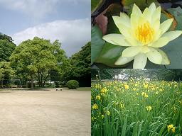 住吉公園 広場と花