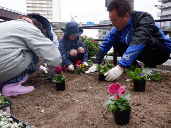 花いっぱい秋の植え付け1