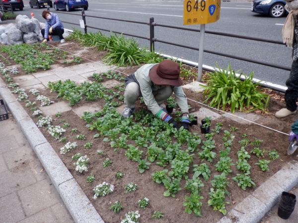 花いっぱい秋の植え付け