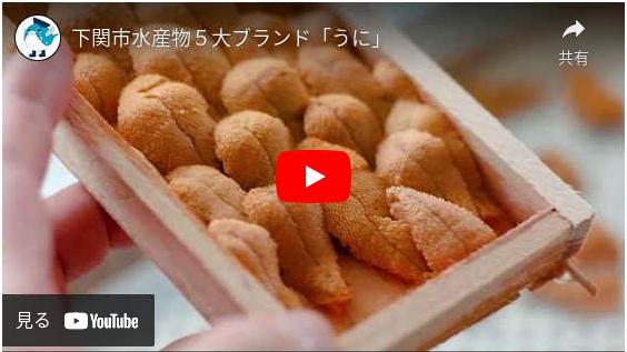 下関市水産物5大ブランド「うに」