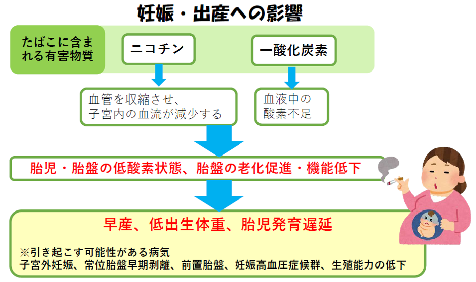 妊娠・出産への影響