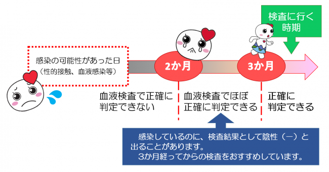 感染の可能性があった日から3か月経つまでは、血液検査で正確に判定できません。3か月経つ前に検査を受けると、感染しているのに検査結果として陰性と出ることがあります。3か月経ってからの検査をおすすめしています。3か月以上経つと正確に判定できます。
