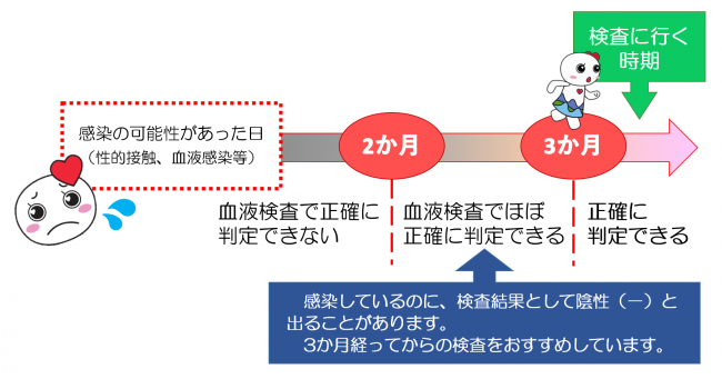 感染の可能性があった日から3か月経つまでは、血液検査で正確に判定できません。3か月経つ前に検査を受けると、感染しているのに検査結果として陰性と出ることがあります。3か月経ってからの検査をおすすめしています。3か月以上経つと正確に判定できます。
