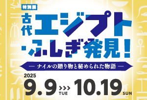 特別展「古代エジプト・ふしぎ発見！」