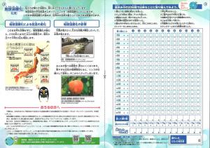 ぜろたんチャレンジシート　4～6年生（裏）