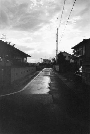 野村佐紀子『nude a room flowers』（2012年）より