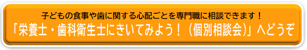 個別相談会