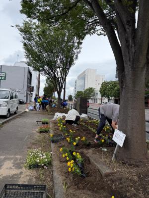 植え付け1
