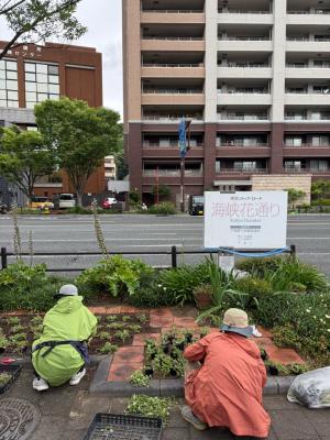 植え付け2