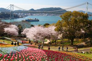 チューリップ園