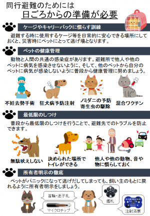 災害時はペットを連れて避難(同行避難)をしましょう!