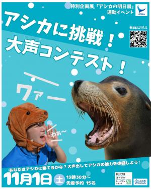 アシカに挑戦！大声コンテスト！